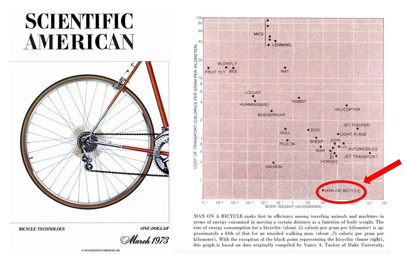 En undersøgelse fra 1970'erne i tidsskriftet Scientific American om bevægelseseffektivitet var inspirationen til Steve Jobs berømte metafor om »en cykel til hjernen«. Men vi har cyklet på informationsmotorvejen i årtier siden da.