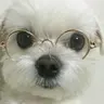 Profile picture of Somora