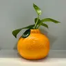 도네 dohne님의 프로필 사진
