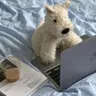 ash님의 프로필 사진
